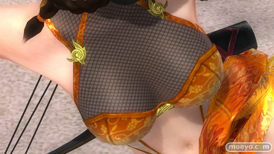 DEAD OR ALIVE 5 Last Round　パンツ　画像　レイファン　紅葉　NINJAなりきりコスチューム Vol.2　エロ　02