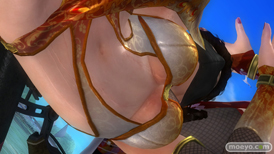 DEAD OR ALIVE 5 Last Round　パンツ　画像　レイファン　紅葉　NINJAなりきりコスチューム Vol.2　エロ　03