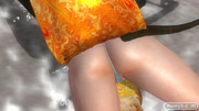 DEAD OR ALIVE 5 Last Round　パンツ　画像　レイファン　紅葉　NINJAなりきりコスチューム Vol.2　エロ　12