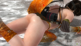 DEAD OR ALIVE 5 Last Round　パンツ　画像　レイファン　紅葉　NINJAなりきりコスチューム Vol.2　エロ　14