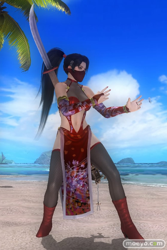 DEAD OR ALIVE 5 Last Round　パンツ　画像　レイファン　紅葉　NINJAなりきりコスチューム Vol.2　エロ　16