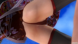 DEAD OR ALIVE 5 Last Round　パンツ　画像　レイファン　紅葉　NINJAなりきりコスチューム Vol.2　エロ　29