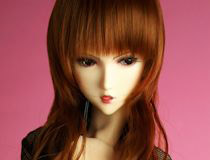 クール＆ビューティ!!!「Pink Drops #12 夜狐 ＜YO－KO＞」 期間限定受付開始！