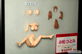 画像　フィギュア　サンプル　レビュー　ワンダーフェスティバル 2015［冬］　「B・M・W」「P-UNiT&P'z」「ワンダーバングル」 09