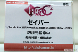 Fate/EXTRA セイバーエクストラ アルファマックス　画像　サンプル　レビュー　フィギュア　真辺菜月　10