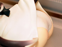 「ワンダーフェスティバル 2015［冬］」 様々なディーラーブースの様子36「うねり階段」「ないとめあくりえいつ」「フクフク」ブース特集