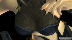 DEAD OR ALIVE 5 Last Round NINJAなりきりコスチューム 画像 エロ パイ サラ パンツ 比較 03