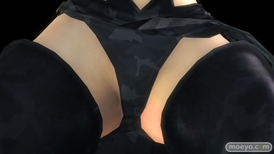 DEAD OR ALIVE 5 Last Round NINJAなりきりコスチューム 画像 エロ パイ サラ パンツ 比較 04