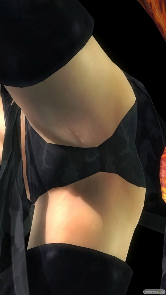 DEAD OR ALIVE 5 Last Round NINJAなりきりコスチューム 画像 エロ パイ サラ パンツ 比較 09