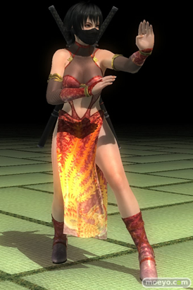 DEAD OR ALIVE 5 Last Round NINJAなりきりコスチューム 画像 エロ パイ サラ パンツ 比較 10