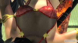 DEAD OR ALIVE 5 Last Round NINJAなりきりコスチューム 画像 エロ パイ サラ パンツ 比較 12