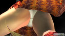 DEAD OR ALIVE 5 Last Round NINJAなりきりコスチューム 画像 エロ パイ サラ パンツ 比較 15
