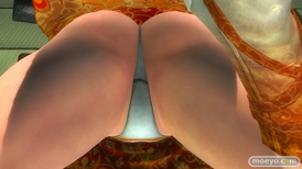 DEAD OR ALIVE 5 Last Round NINJAなりきりコスチューム 画像 エロ パイ サラ パンツ 比較 19