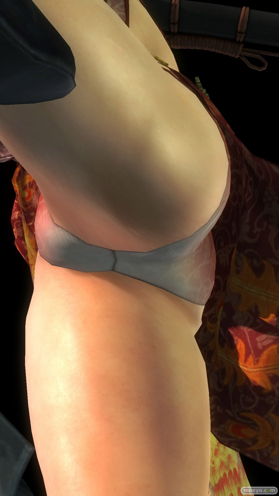 DEAD OR ALIVE 5 Last Round NINJAなりきりコスチューム 画像 エロ パイ サラ パンツ 比較 20