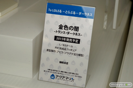 宮沢模型 第35回 商売繁盛セール 新作　フィギュア　画像　レビュー　サンプル　アクアマリン　クルシマ製作所　アイズプロジェクト　オーキッドシード　アゾン　プルクラ　ビート　Q-six　クレイズ　回天堂　レチェリー　ホビーストック　06