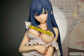 フォルトシリーズ 神和住真夜　ドラゴントイ　DRAGON Toy　画像　サンプル　レビュー　フィギュア　キャストオフ　エロ　アダルト　Tony　萩井俊士　15