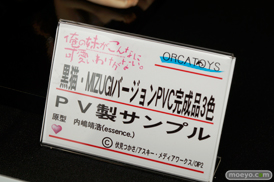 カフェレオキャラクターコンベンション2015春 オルカトイズ　アオシマ　回天堂　ダイキ工業　アクアマリン　グッドスマイルカンパニー　フィギュア　サンプル　レビュー　画像　06