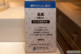 ニコニコ超会議2015　画像　サンプル　フィギュア　レビュー　グッドスマイルカンパニー　アクアマリン　バンダイ　セガ　02