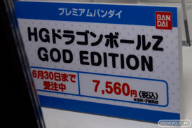 ニコニコ超会議2015　画像　サンプル　フィギュア　レビュー　グッドスマイルカンパニー　アクアマリン　バンダイ　セガ　32