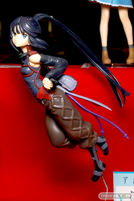 画像　サンプル　レビュー　フィギュア　トレジャーフェスタin有明13　「AcesHigh」「チェリーブロッサム」「自作ライダー」 12