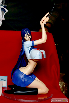 画像　サンプル　レビュー　フィギュア　トレジャーフェスタin有明13　「AcesHigh」「チェリーブロッサム」「自作ライダー」 14