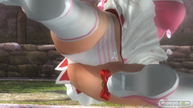 DEAD OR ALIVE 5 Last Round　画像　コスチューム　パンツ　ヒーローなりきりコスチューム　レイファン　ヒトミ　ほのか　マリー・ローズ　04