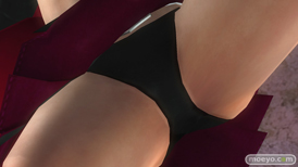 DEAD OR ALIVE 5 Last Round　画像　コスチューム　パンツ　ヒーローなりきりコスチューム　レイファン　ヒトミ　ほのか　マリー・ローズ　15