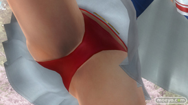 DEAD OR ALIVE 5 Last Round　画像　コスチューム　パンツ　ヒーローなりきりコスチューム　レイファン　ヒトミ　ほのか　マリー・ローズ　22