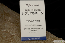 HOBBY ROUND（ホビーラウンド） 13 画像　サンプル　レビュー　フィギュア　ボークス　新作　キャラグミン　セリベリア　42