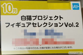 第40回プライズフェア エイコー　画像　サンプル　レビュー　フィギュア　パズドラ　白猫　17