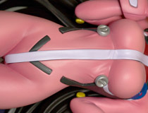 【HR13】ボークス「キャラグミン キャプテン・アース 夢塔ハナ」 新作フィギュア彩色サンプル画像レビュー