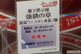 メガホビEXPO 2015 Spring　画像　サンプル　レビュー　フィギュア　ホビージャパン　ヘスティア　百姫　ベリアル　パラディン　ダルタニアン　ブラック・マジシャン・ガール　ドロンジョ　14