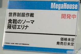 メガホビEXPO 2015 Spring　画像　サンプル　レビュー　フィギュア　メガハウス　ビキニ・ウォリアーズ　ファイター　ダークエルフ　綺羅星天アルカナ　アンジェラ　カミキ・ミライ　26