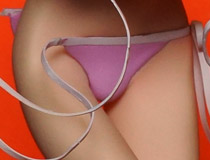 【トレフェス有明13】様々なディーラーブースの様子38「はむすた工房」「ふぉるてや」「へなちょこ同盟」ブース特集