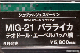AKIBA模型フェア　画像　サンプル　レビュー　フィギュア　プラモデル　コトブキヤ　ウェーブ　ガイアノーツ　10