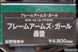 AKIBA模型フェア　画像　サンプル　レビュー　フィギュア　プラモデル　コトブキヤ　ウェーブ　ガイアノーツ　15