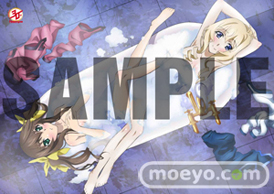 月刊ニュータイプ ShopNewtype Fate/stay night 魔法少女まどか☆マギカ 創刊30周年 画像 グッズ 08