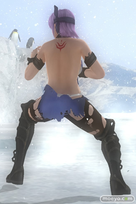 DEAD OR ALIVE 5 Last Round　影牢　コラボコスチューム　画像　レビュー　パンツ　コスチューム破壊　かすみ　あやね　紅葉　マリー　11