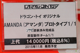 ワンダーフェスティバル 2015［夏］ メーカー　フィギュア　新作　エロ　アダルト　えっち　ドラゴントイ　等身大　オルカトイズ　岡山フィギュア・エンジニアリング　Q-six　ダイキ工業　　02