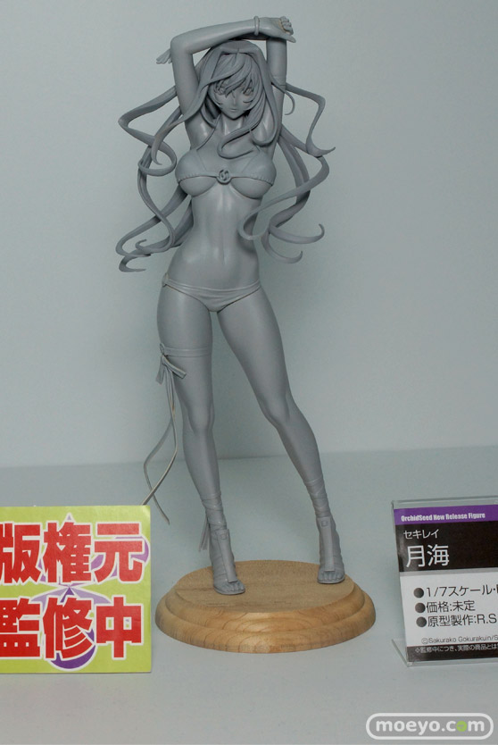 ワンダーフェスティバル 2015［夏］ メーカー　フィギュア　新作　ブロッコリー　フレア　A-TOYS　ヴェルテクス　ビート　エイプラス　ダイキ工業　オルカトイズ　オーキッドシード　25