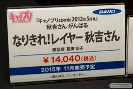 ワンダーフェスティバル 2015［夏］ 画像　サンプル　レビュー　フィギュア　ダイキ工業　主婦みさお32才　10