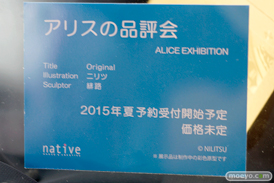 ワンダーフェスティバル 2015［夏］ 画像　サンプル　レビュー　フィギュア　ネイティブ　ロケットボーイ　07