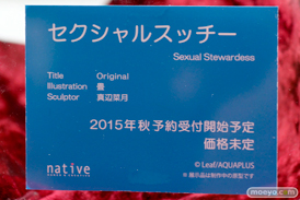 ワンダーフェスティバル 2015［夏］ 画像　サンプル　レビュー　フィギュア　ネイティブ　ロケットボーイ　13