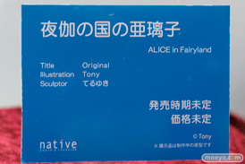 ワンダーフェスティバル 2015［夏］ 画像　サンプル　レビュー　フィギュア　ネイティブ　ロケットボーイ　20