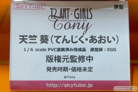 ワンダーフェスティバル 2015［夏］ 画像　サンプル　レビュー　フィギュア　アルファマックス　スカイチューブ　フォルト！　02