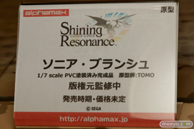 ワンダーフェスティバル 2015［夏］ 画像　サンプル　レビュー　フィギュア　アルファマックス　スカイチューブ　フォルト！　33