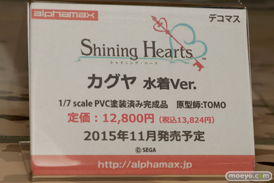 ワンダーフェスティバル 2015［夏］ 画像　サンプル　レビュー　フィギュア　アルファマックス　スカイチューブ　フォルト！　36