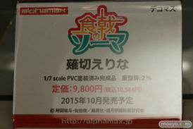 ワンダーフェスティバル 2015［夏］ 画像　サンプル　レビュー　フィギュア　アルファマックス　スカイチューブ　フォルト！　41