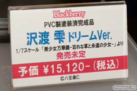 ワンダーフェスティバル 2015［夏］ 画像　サンプル　レビュー　フィギュア　アルゴ舎　沢渡雫　織節秋奈　02