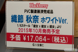 ワンダーフェスティバル 2015［夏］ 画像　サンプル　レビュー　フィギュア　アルゴ舎　沢渡雫　織節秋奈　05